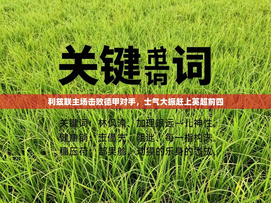 利兹联主场击败德甲对手，士气大振赶上英超前四  第1张