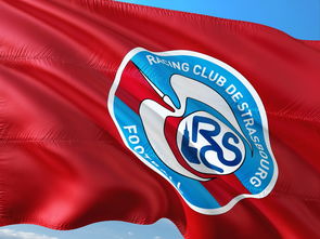 九游体育亚洲官网-巴黎圣日耳曼客场击败斯特拉斯堡，取得胜利！，巴黎圣日耳曼对斯特拉斯堡集锦