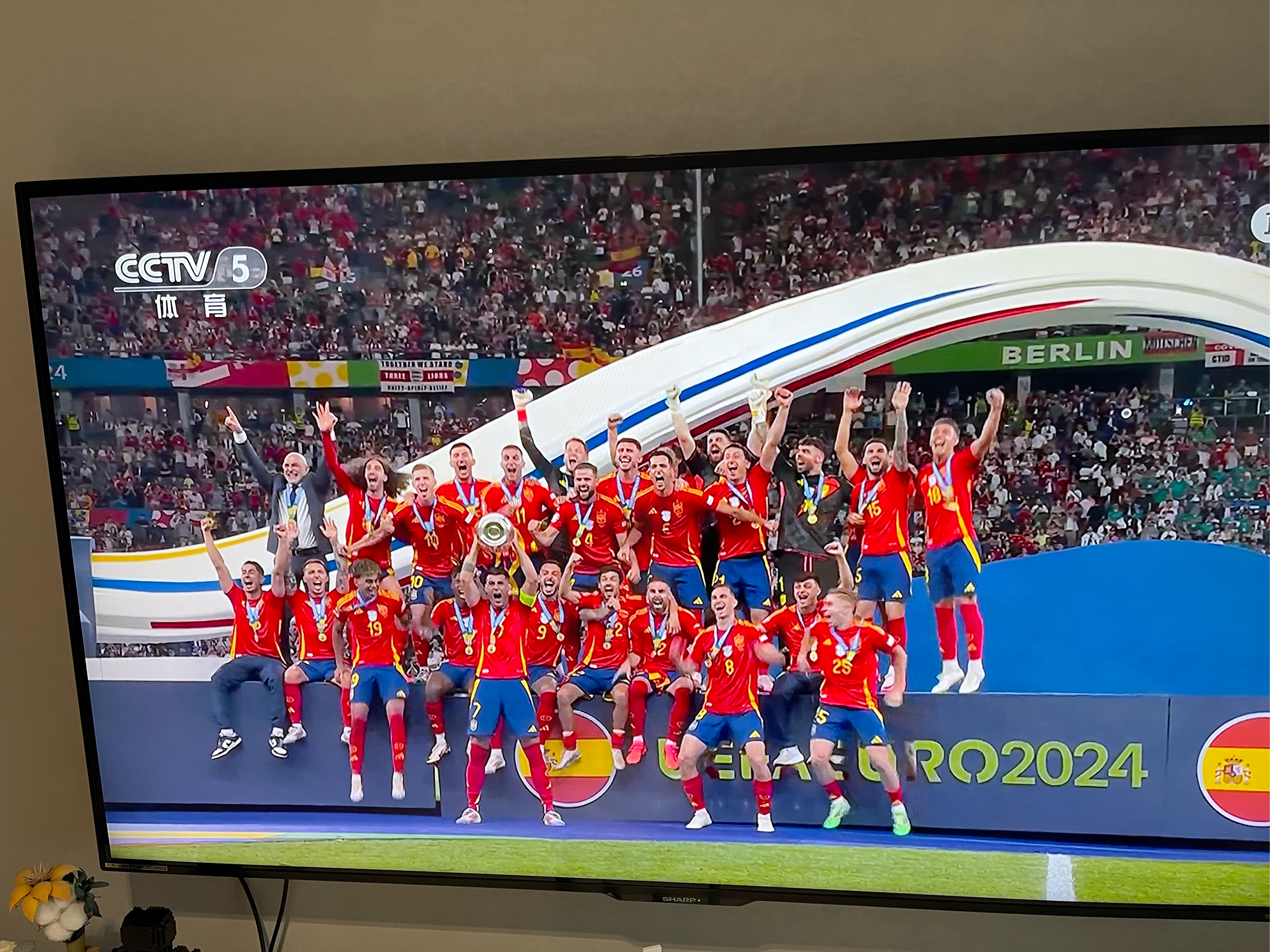 九游体育app-包含欧洲杯资格赛势如破竹，强队一路领先的词条