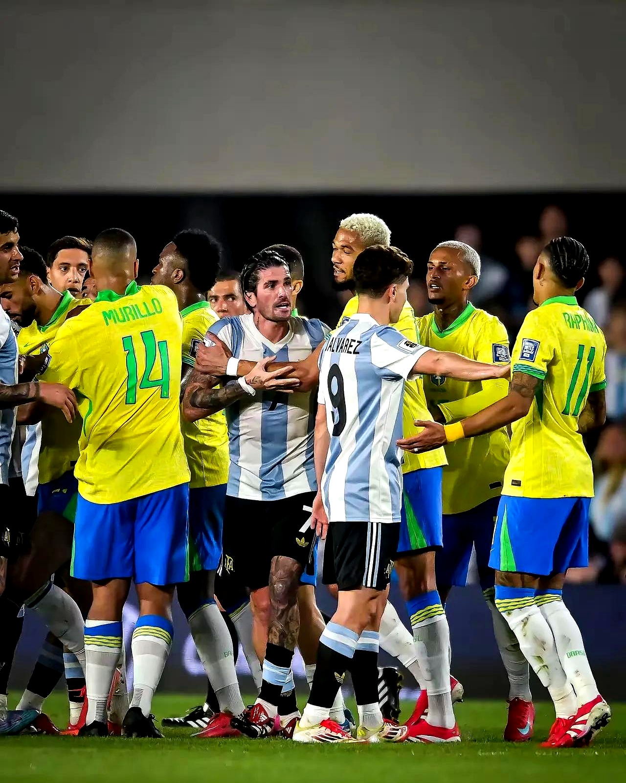 美洲排球公开赛落幕，巴西队夺得冠军