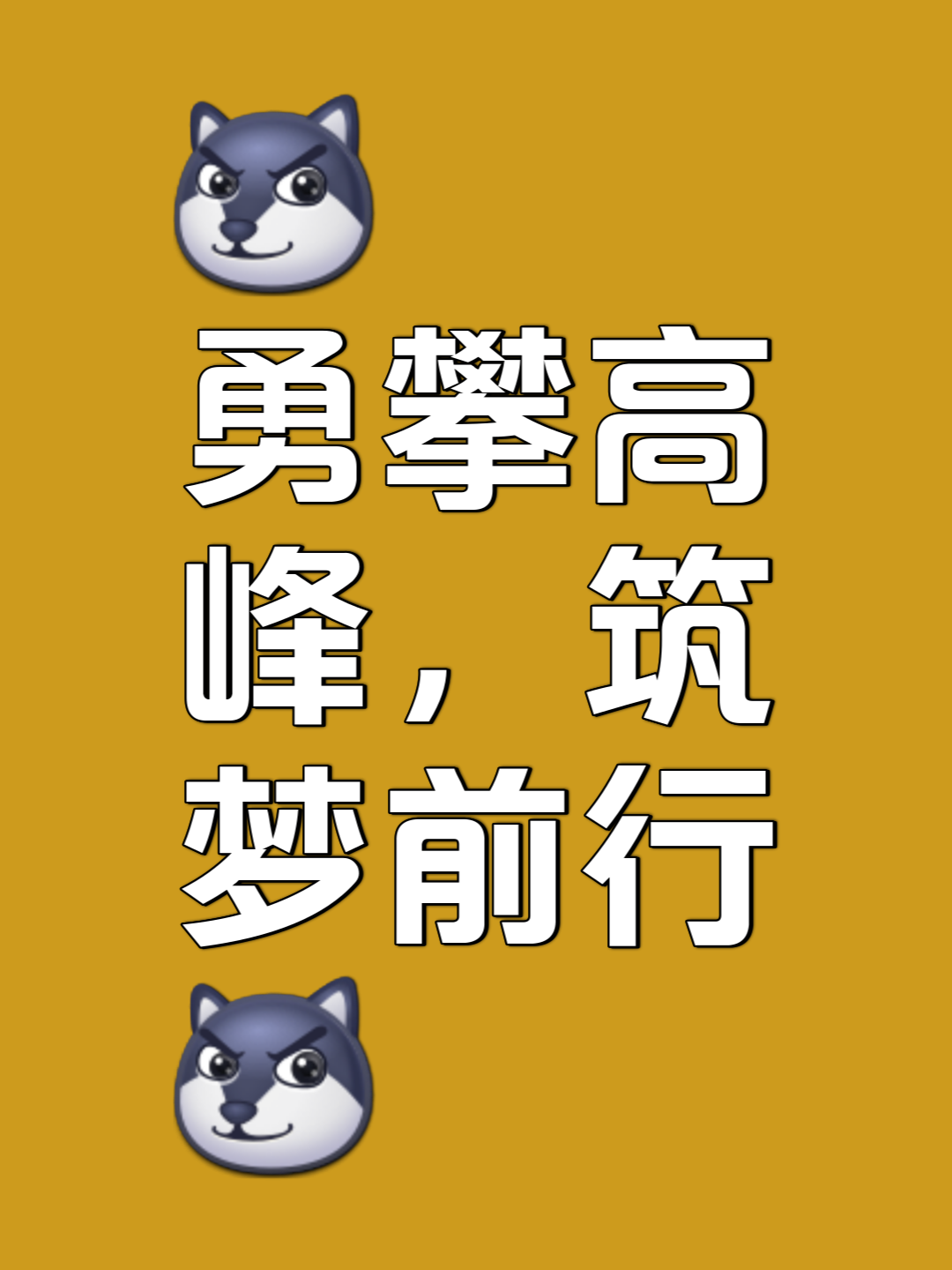 人队员实力足以傲视群雄，勇往直前的简单介绍