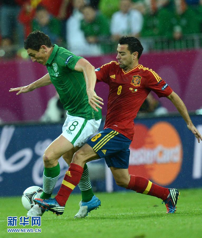 爱尔兰队全力以赴，争取進入欧锦赛的简单介绍