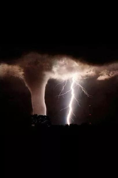 九游体育亚洲官网-包含澳大利亚前锋卫奇兹表现惊艳，成为球队制胜关键的词条